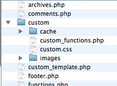 Image of folder structure of where custom files sit inside Thesis